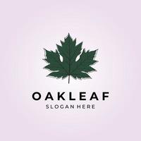 oak leaf vintage logo illustration design vector