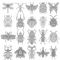 A collection of beetles and insects in a linear style. Linear vector illustration