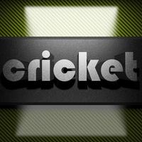 cricket word of iron on carbon photo