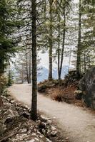 Curved path in the mountains photo