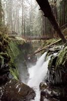 Waterfall in the forest photo