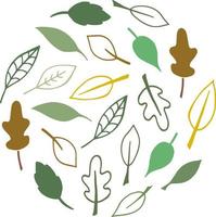 Collection of doodle flowers and leaves vector