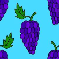 Seamless pattern with cartoon doodle linear grapes. Fruit background. vector