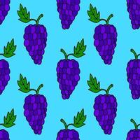 Seamless pattern with cartoon doodle linear grapes. Fruit background. vector