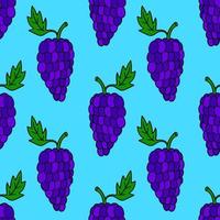 Seamless pattern with cartoon doodle linear grapes. Fruit background. vector