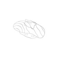 sushi black line drawing on a white background It's Japanese food vector