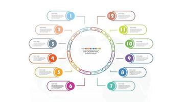 plantilla de infografía de círculo básico con 12 pasos, proceso u opciones, gráfico de proceso. vector