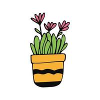 chamomile in a pot icon hand drawn. , minimalism, scandinavian, doodle, cartoon sticker plant flower vector