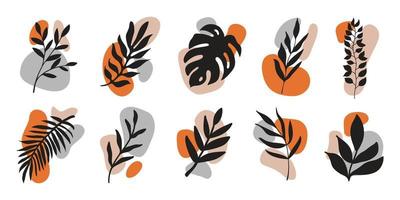 Vector hand drawn leaves with colorful various organic shapes isolated on white background. Botanical icon with spots and branches.