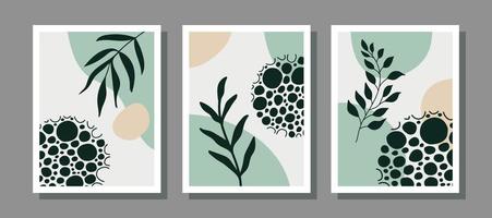 Modern abstract set aesthetic backgrounds with organic shapes and branch. Wall decor in boho style. Mid century vector print for cover, wallpaper, card, social media, interior decor