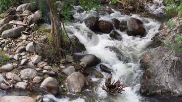 Stein und Fluss video