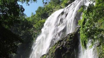 waterfall and nature video