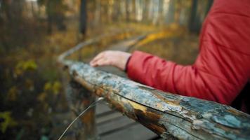 Junge Frau in Mütze und warmer Jacke mit Rucksack schlendert bei Sonnenuntergang auf Holzbrettweg mit Holzgeländer im Wald, Nahaufnahme, Zeitlupe video