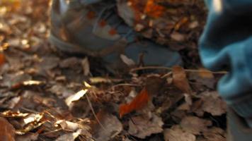 Mann mit Turnschuhen und dunkelblauen Jeans geht auf trockenen gefallenen Blättern, die den Boden des Waldwegs bedecken, extreme Nahaufnahme in Zeitlupe video