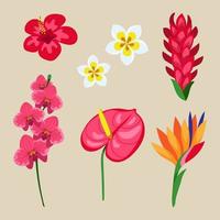 Summer Floral Elements vector