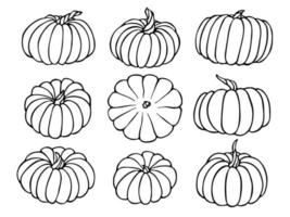 vector dibujado a mano conjunto de ilustración de calabaza. objeto aislado sobre fondo blanco. imágenes prediseñadas de cosecha de verduras. producto del mercado agrícola. elementos para el diseño de otoño, decoración.