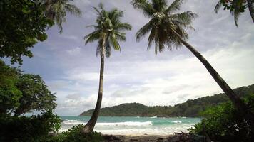 Blue ocean sand beach and water surface texture. Foamy waves with sky and clouds. Beautiful tropical beach. Amazing Sandy coastline with white sea waves. Palms turquoise sea background Atlantic ocean. video