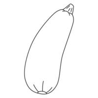 Black and white cartoon vector illustration of zucchini for coloring book. Ripe vegetable, source of vitamins