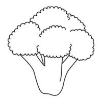 Branch of broccoli in cartoon style. Black and white vector illustration for coloring book