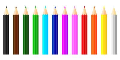 Set of short colored pencil collection. Crayons vector on white background. Isolated back to school for education object.