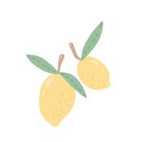 Illustration of juicy lemons. Fresh fruits in cartoon style. vector