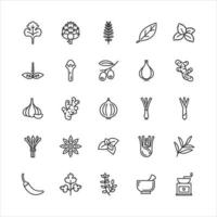 Bundle of spices and herbs icon vector set