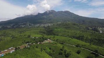 Aerial view of tea plantation in Kemuning, Indonesia with Lawu mountain background video
