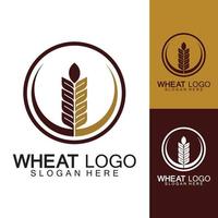 agricultura trigo logo plantilla vector icono diseño