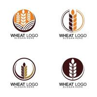 Agriculture Wheat logo template vector icon design