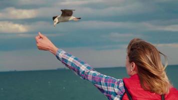 jovem alimenta gaivotas à beira-mar