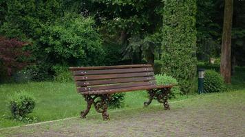 Wood bench, green summer background natural light. video