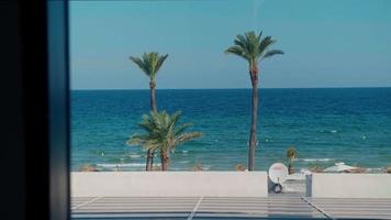 plage avec palmiers en tunisie, mer méditerranée video