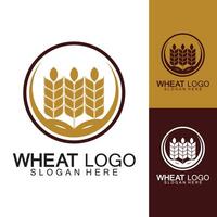 Agriculture Wheat logo template vector icon design