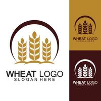 Agriculture Wheat logo template vector icon design