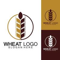 Agriculture Wheat logo template vector icon design