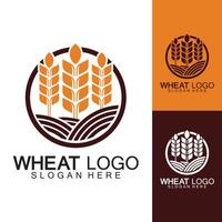 Agriculture Wheat logo template vector icon design