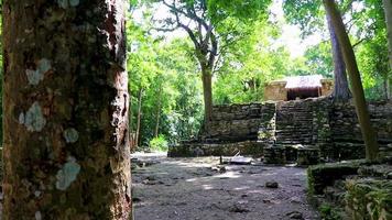 forntida maya-plats med tempelruiner pyramider artefakter muyil mexico. video
