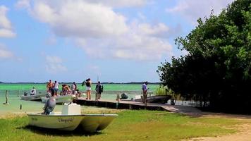 Tulum Mexico 02. February 2022 Muyil Lagoon panorama view boat trip in tropical jungle Mexico. video