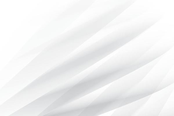 Abstract  white and gray color, modern design background with geometric shape. Vector illustration.