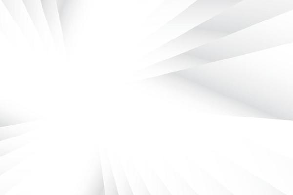 Abstract  white and gray color, modern design background with geometric shape. Vector illustration.