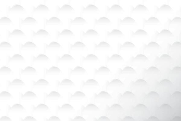 Abstract  white and gray color, modern design background with geometric shape. Vector illustration.