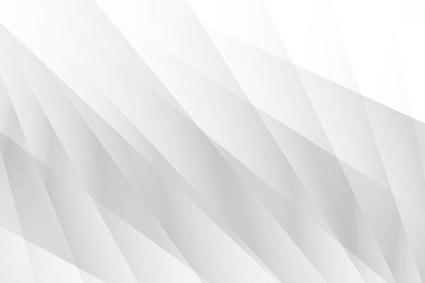 Abstract  white and gray color, modern design background with geometric shape. Vector illustration.