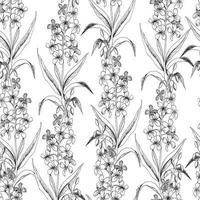 Seamless vector botanical pattern with sketches of hairy willowherb plants on white background. Flowers and herbs. For textiles, fabrics, covers, wallpapers, print, wrapping gift