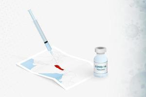 vacunación de nepal, inyección con vacuna covid-19 en el mapa de nepal. vector