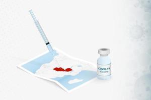 Zambia Vaccination, Injection with COVID-19 vaccine in Map of Zambia. vector