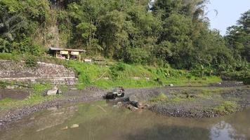 les touristes profitent de la visite de lave merapi avec jeep, yogyakarta indonésie. video