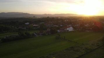 Aerial view of sunset in village in Indonesia with rice field and house