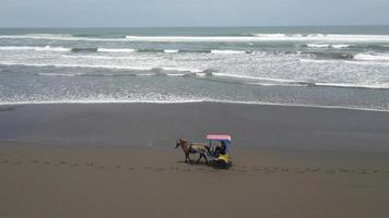 Aerial view of traditional horse cart ride on beach in Indonesia
