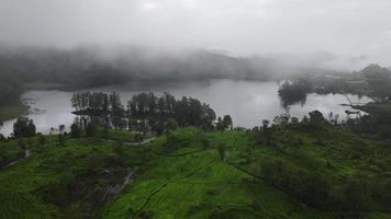 Aerial view of misty landscape forest in Situ Patenggang, Bandung, Indonesia video