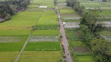 vista aérea da aldeia tradicional da indonésia e campo de arroz.